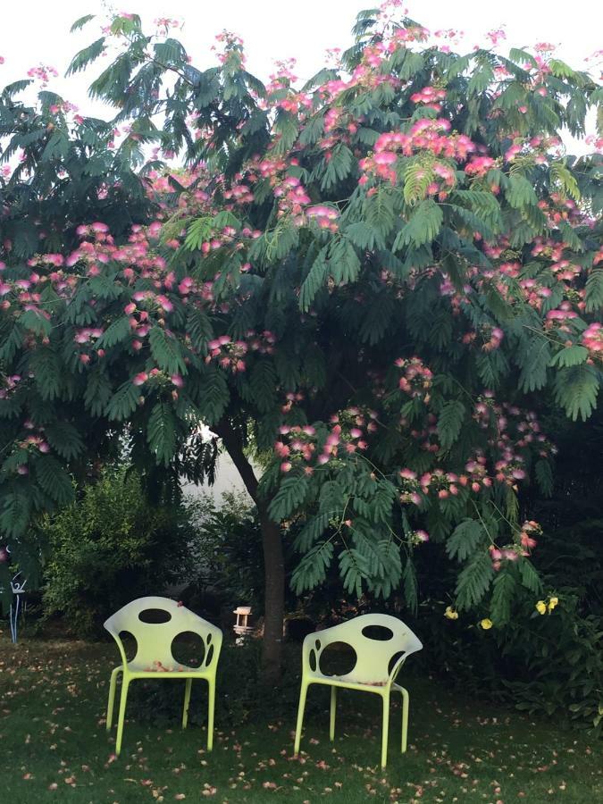 Ô'Maxethel Acomodação com café da manhã Soullans Exterior foto